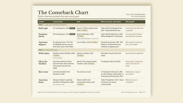 Preview of The Comeback Chart