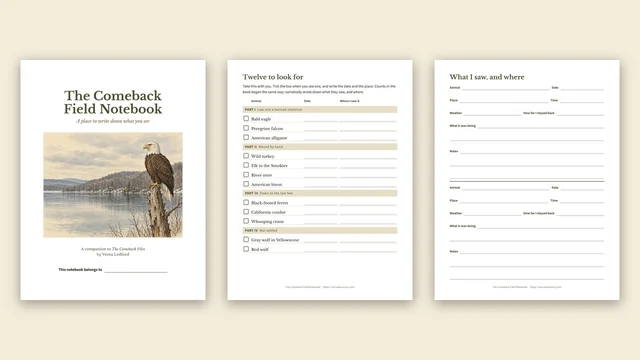 Preview of The Comeback Field Notebook