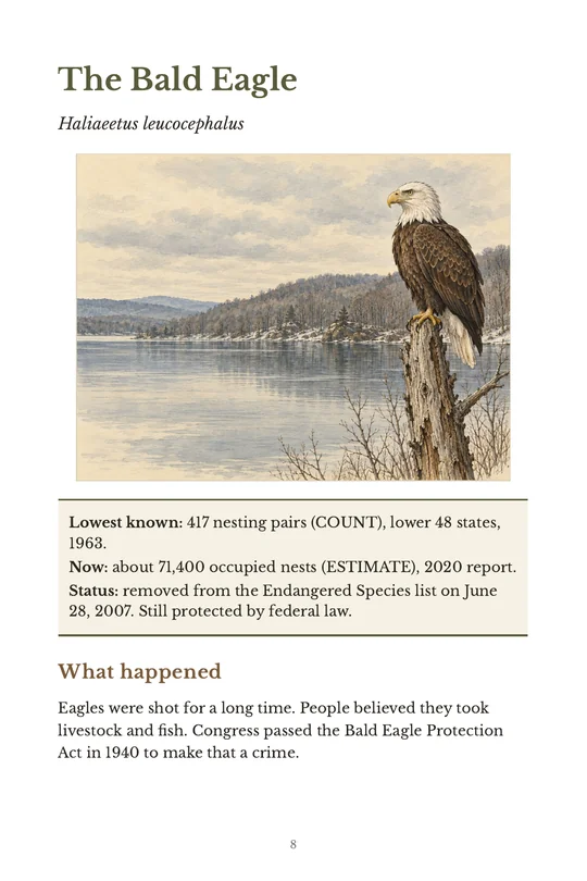 Actual page 8 from The Comeback Files: The Bald Eagle: opening page